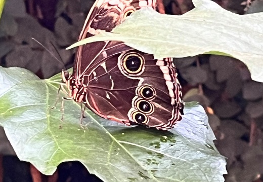 23-09-09 10-58-07 6495